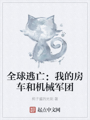 全球逃亡:我的房车和机械军团