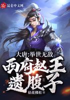 大唐:举世无敌,西府赵王遗腹子