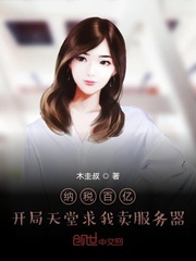 纳税百亿,开局天堂求我卖服务器