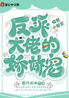 快穿小祖宗:反派大佬的娇娇宠