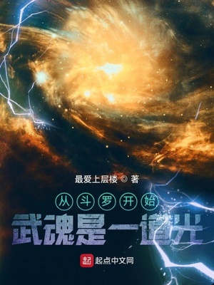 从斗罗开始:武魂是一道光